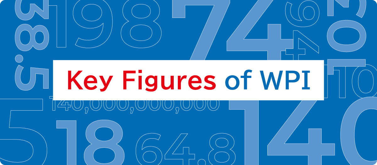 Key Figures of WPI